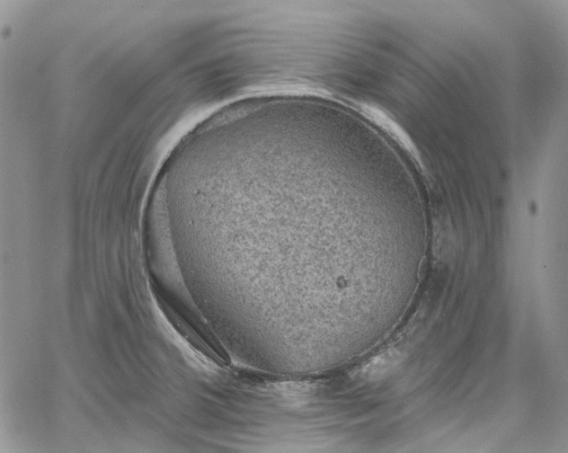 X0000067901380200604201324