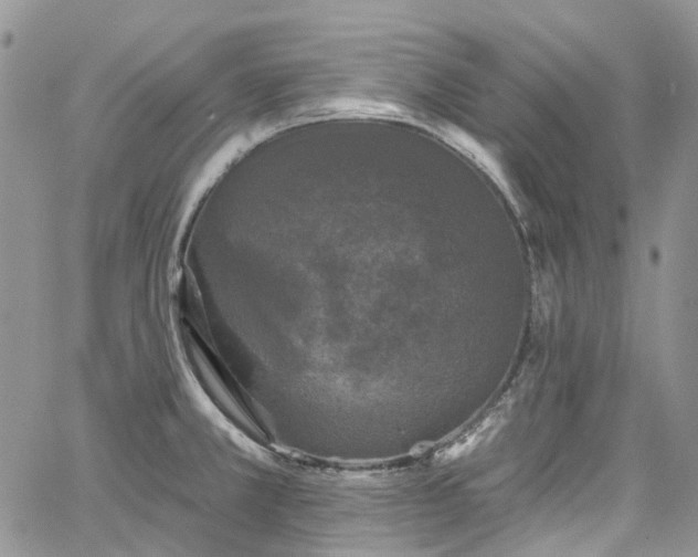 X0000067901381200604201324