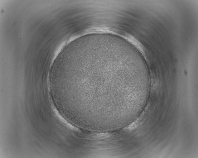 X0000067901382200604201324