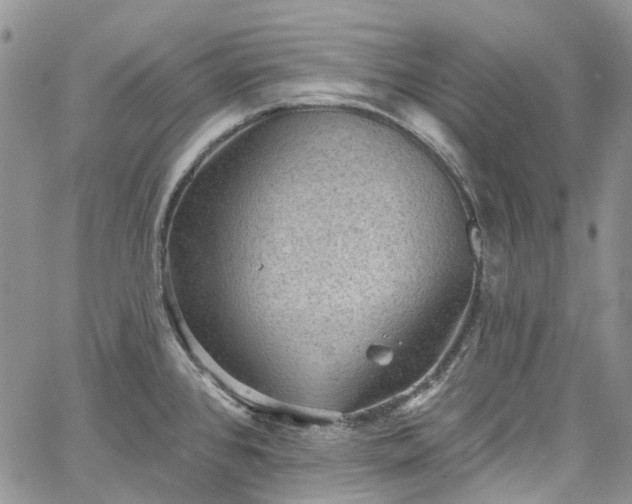 X0000067901384200604201324