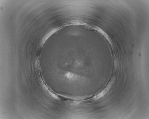 X0000067901385200604201324