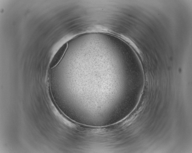 X0000067901387200604201324