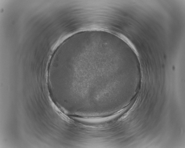 X0000067901388200604201324