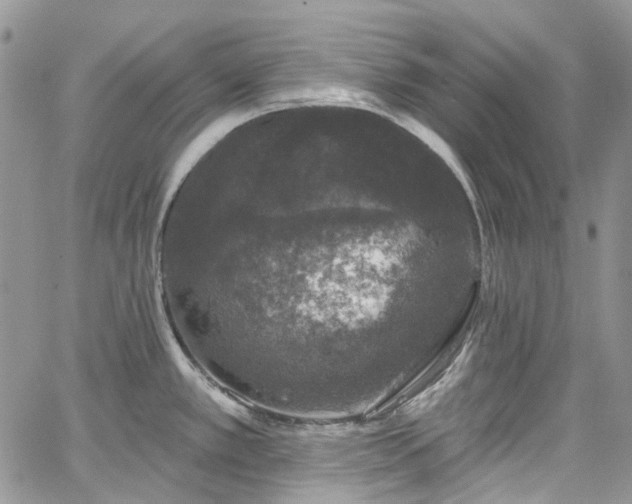 X0000067901389200604201324