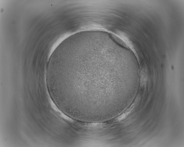 X0000067901390200604201323