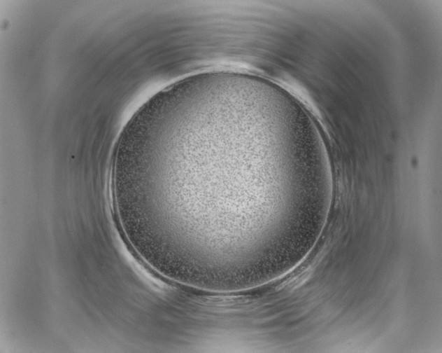 X0000067901391200604201323