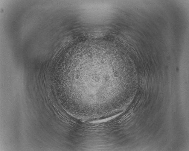 X0000067901393200604201323