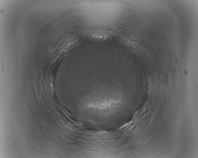 X0000067901394200604201323