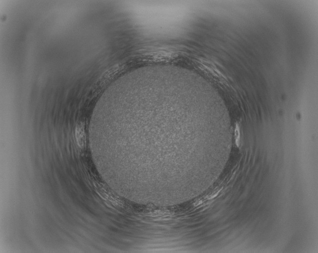 X0000067901395200604201323