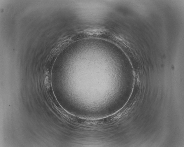 X0000067901396200604201323