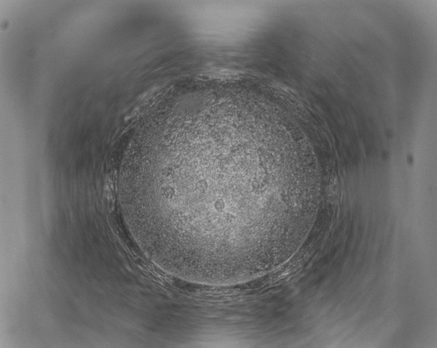 X0000067901397200604201323