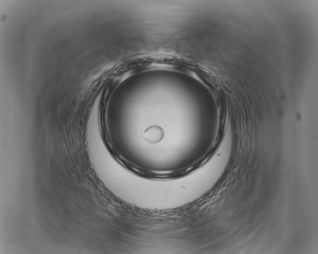 X0000067901398200604201323