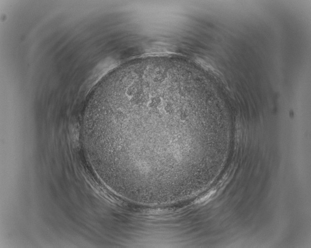 X0000067901401200604201323