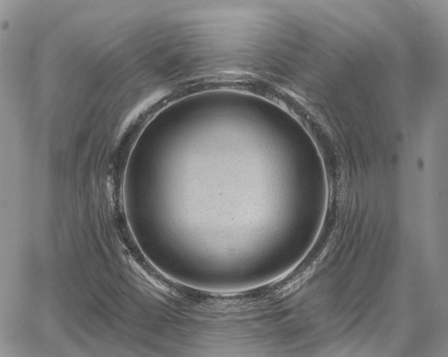 X0000067901402200604201323