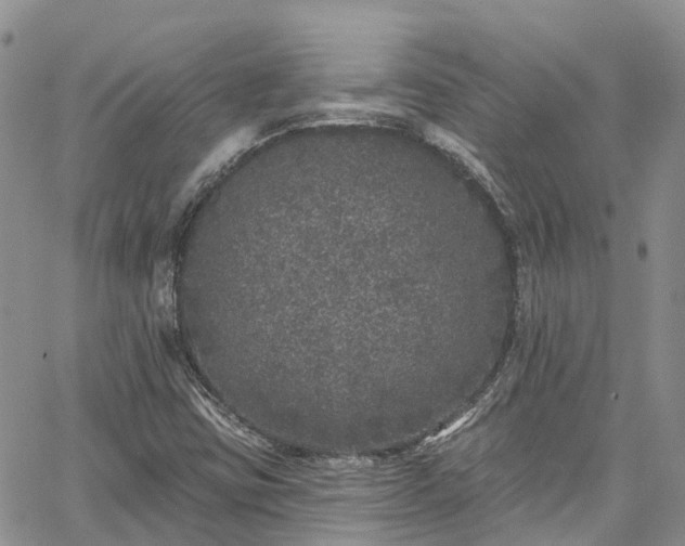 X0000067901403200604201323