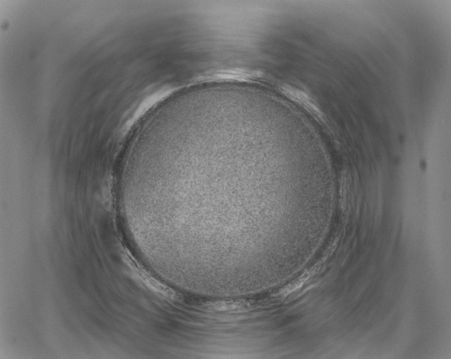 X0000067901404200604201323