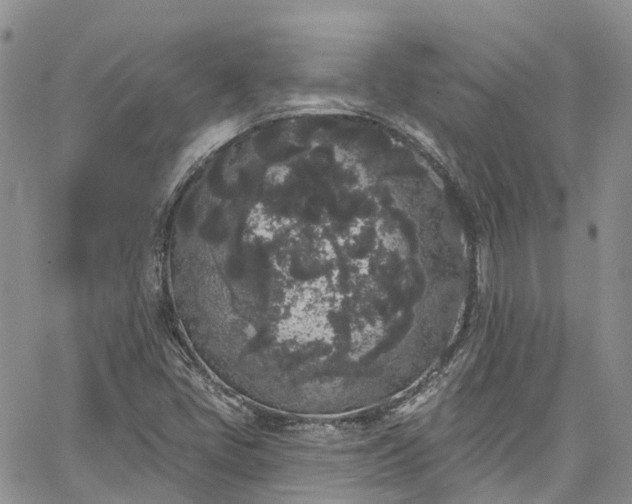 X0000067901405200604201323