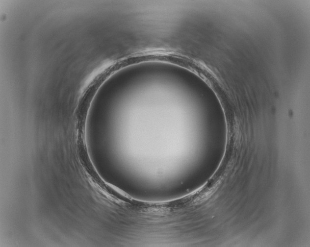 X0000067901406200604201323