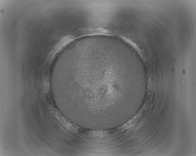 X0000067901407200604201323