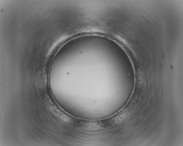 X0000067901408200604201323