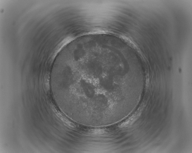 X0000067901409200604201323