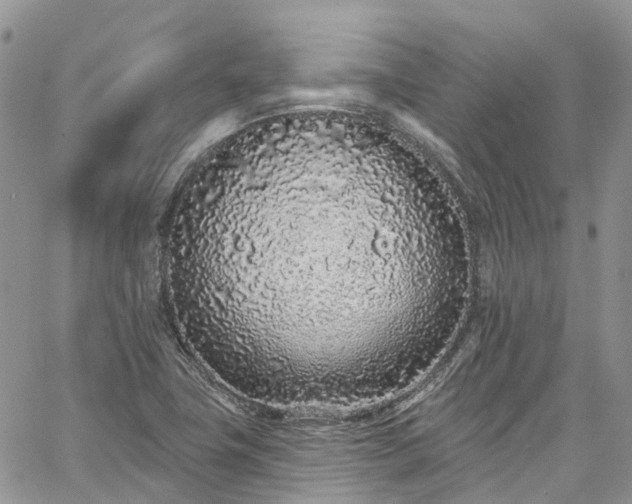 X0000067901411200604201323