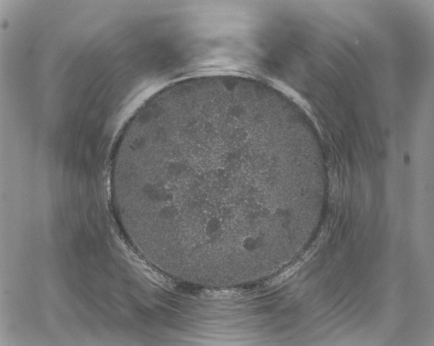 X0000067901415200604201323