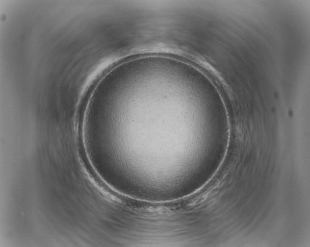 X0000067901416200604201323