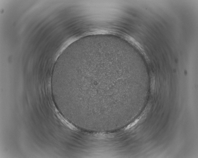 X0000067901417200604201323