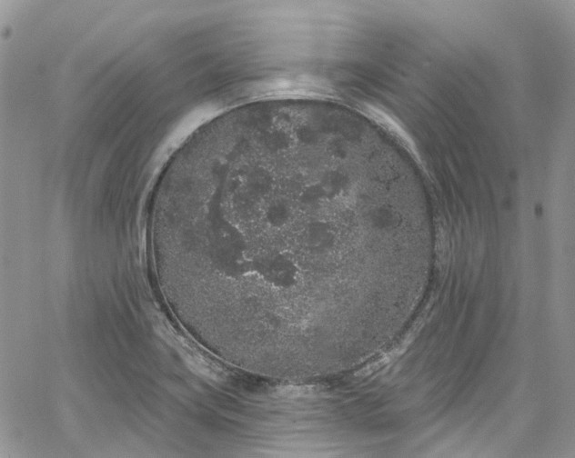 X0000067901419200604201323