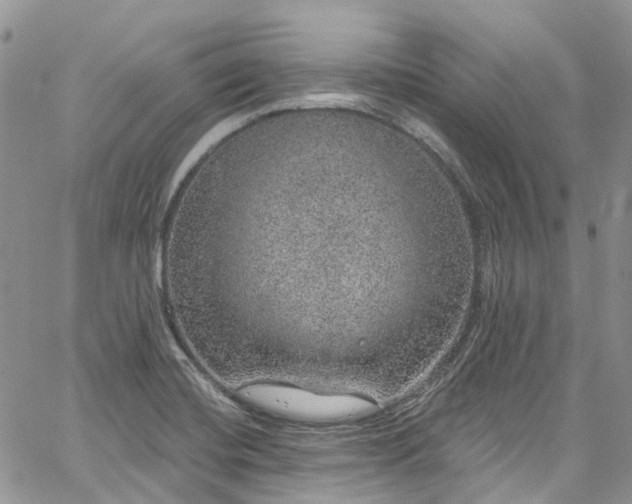 X0000067901420200604201323