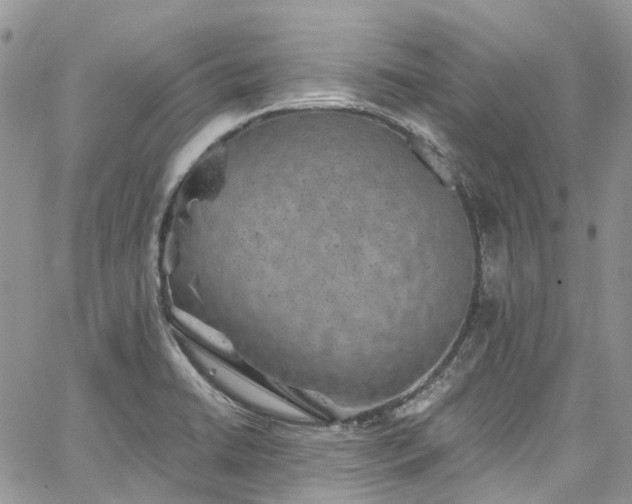 X0000067901422200604201323