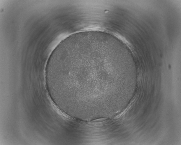 X0000067901423200604201323