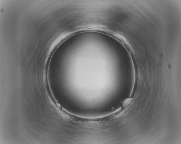 X0000067901424200604201323