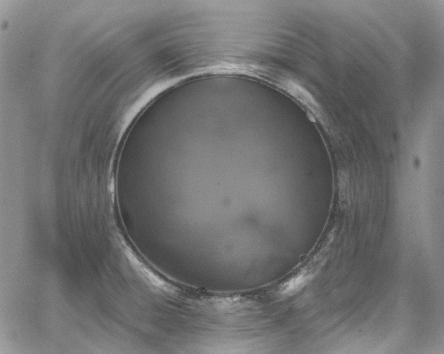 X0000067901428200604201323