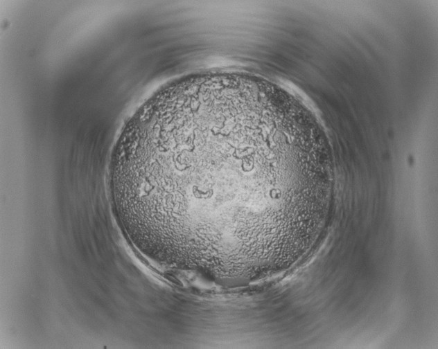 X0000067901429200604201323