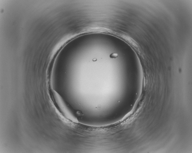 X0000067901430200604201323