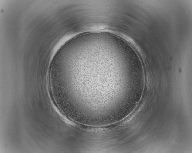 X0000067901432200604201323