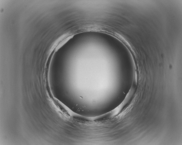 X0000067901434200604201323