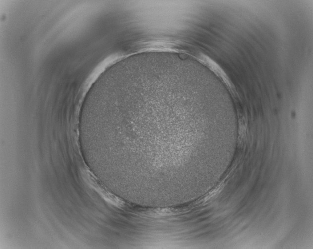 X0000067901435200604201323