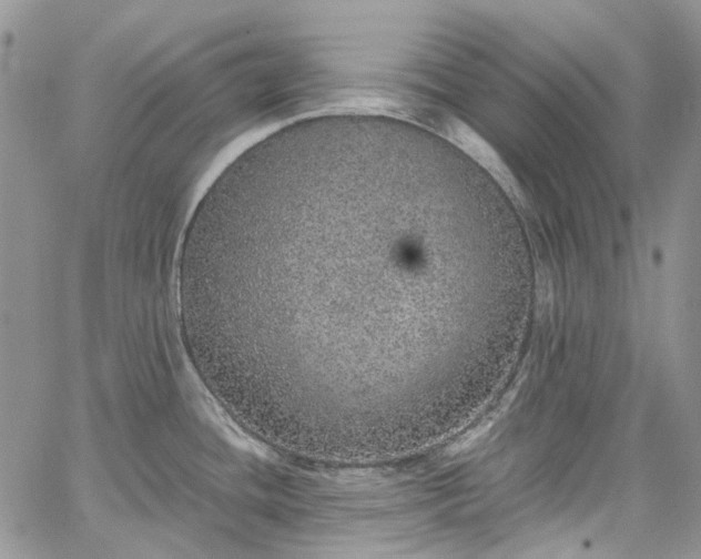 X0000067901436200604201323