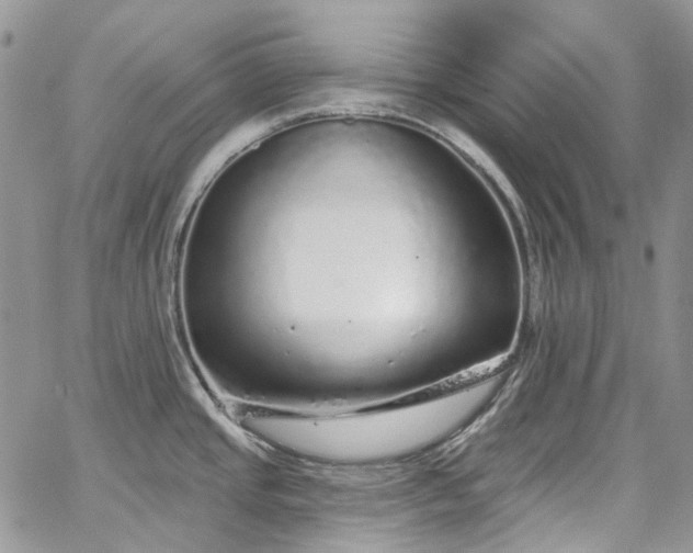 X0000067901437200604201323