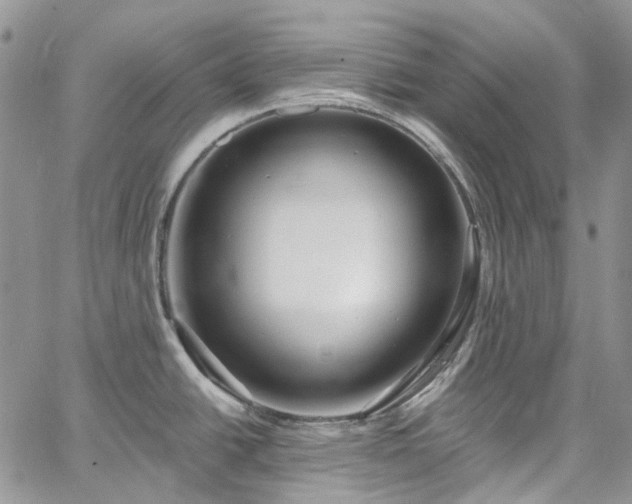 X0000067901438200604201323