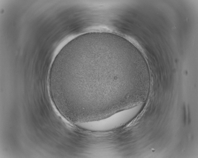 X0000067901440200604201323