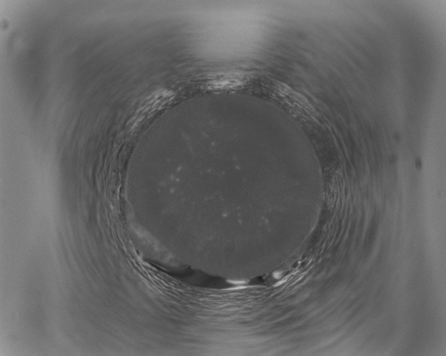 X0000067901441200604201323