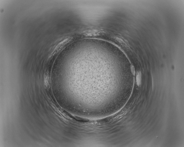 X0000067901444200604201323