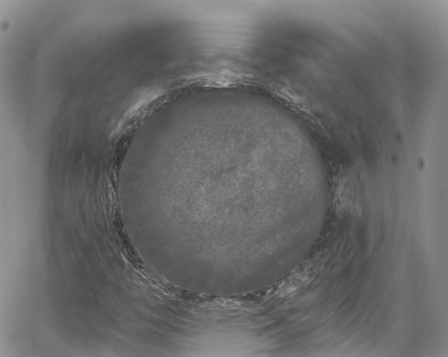 X0000067901446200604201323