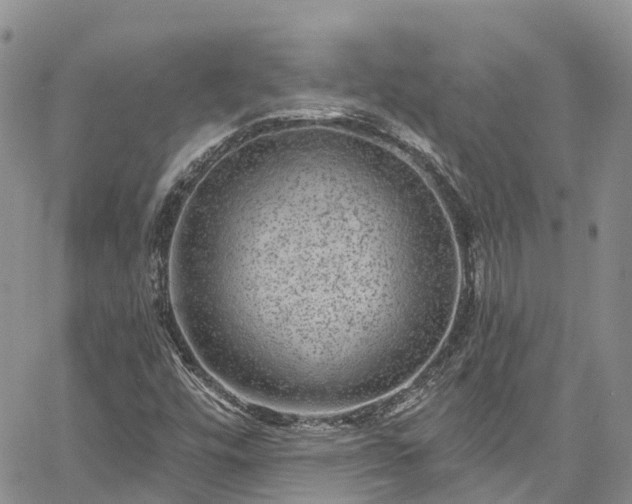 X0000067901448200604201323