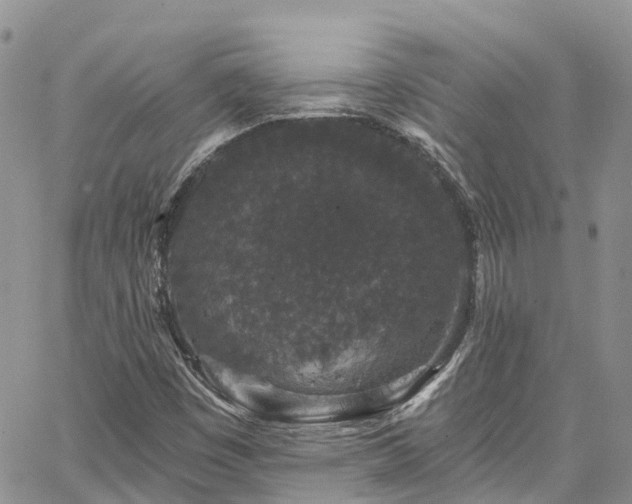 X0000067901449200604201322