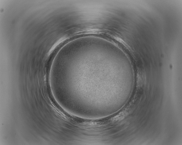 X0000067901450200604201322